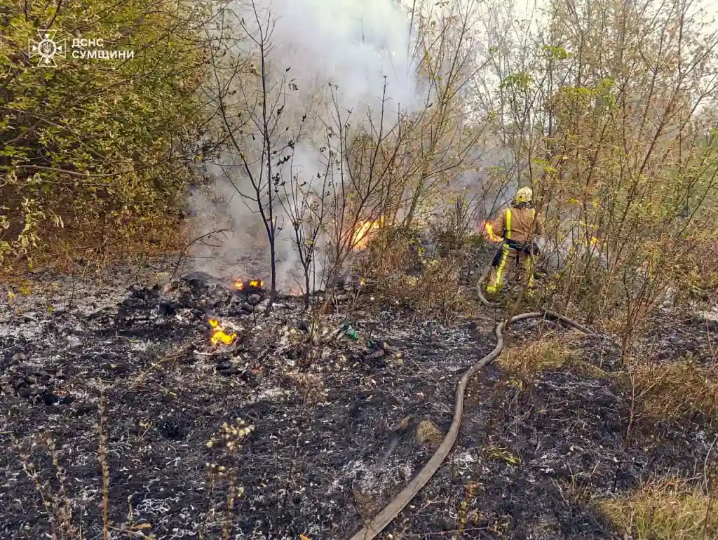 На Сумщині рятувальники двічі гасили пожежі на відкритих територіях