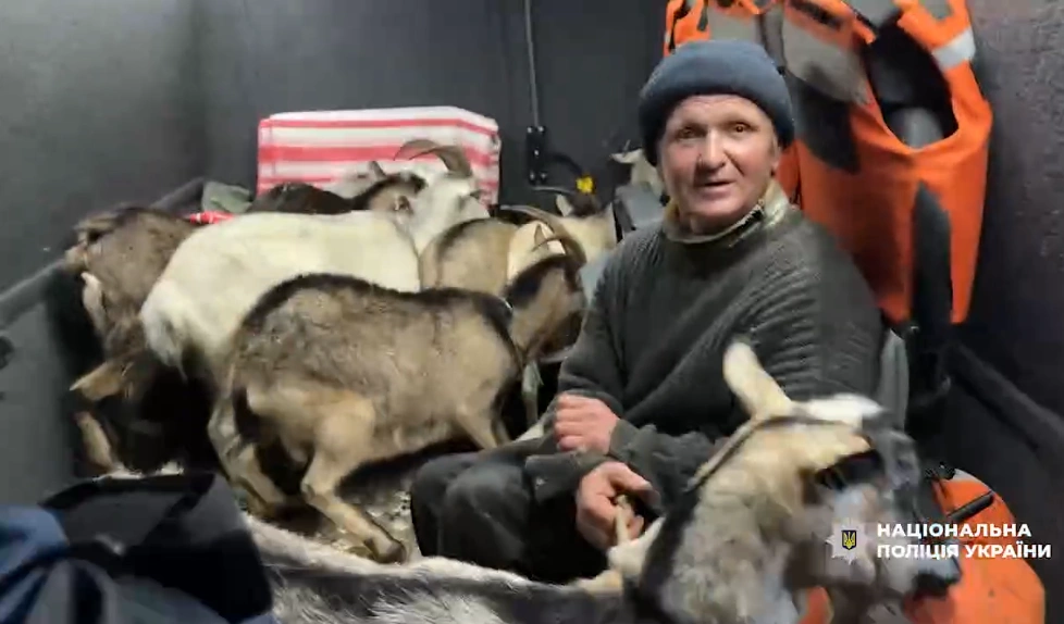 На Сумщині поліцейські евакуювали чоловіка разом із 11 козами з-під обстрілів