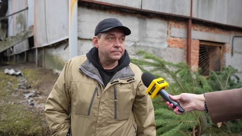 На Сумщині стартував сезон ялинок: ціни, локації та настрій перед святами