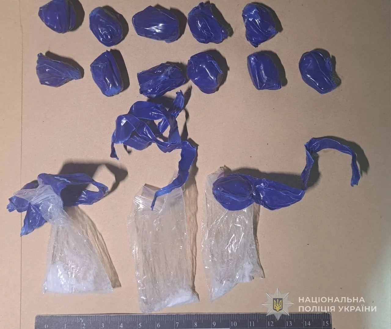 Крижаний полон на озері: у Сумах щодня рятують лебедів і качок