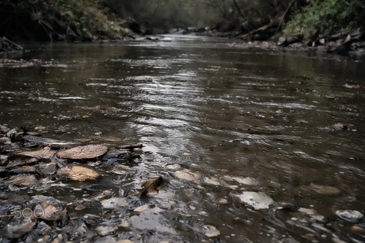 Каламутні ріки сновидінь: до чого сниться брудна вода і що це говорить про ваше життя