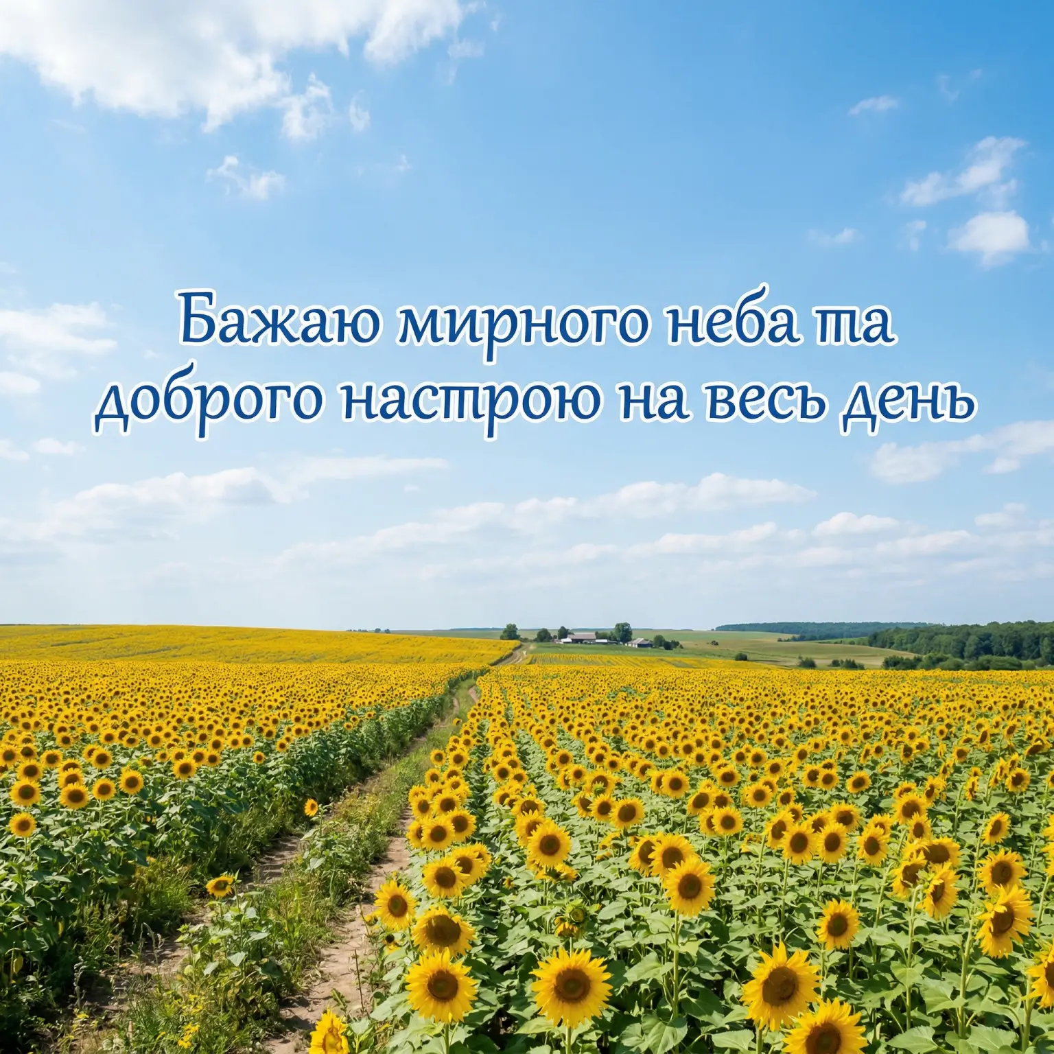 Доброго, мирного, гарного дня та настрою: душевні листівки та найтепліші побажання українською