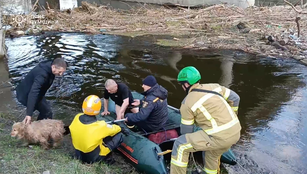 Нічна рятувальна операція в Сумах: з води дістали чоловіка та його собаку