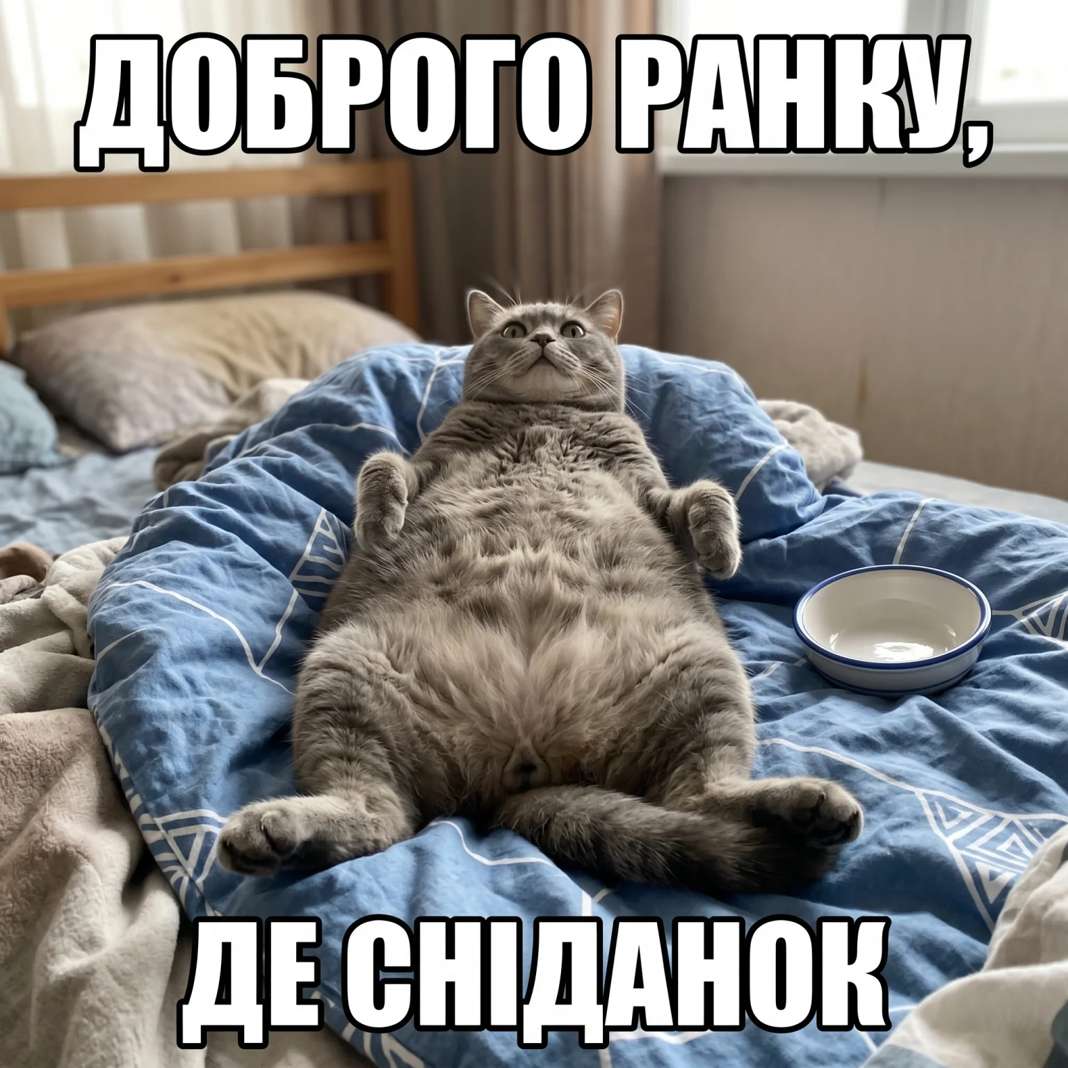 Прикольні картинки з доброго ранку: привітання для чудового настрою та усмішок