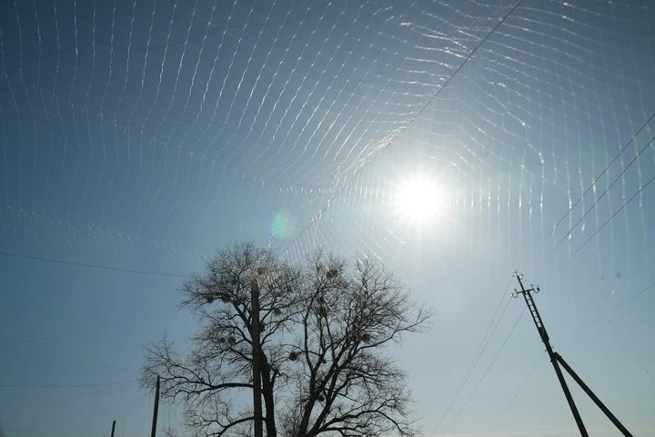 Околиці Сум убезпечують від ворожих FPV-дронів спеціальними інженерними сітками
